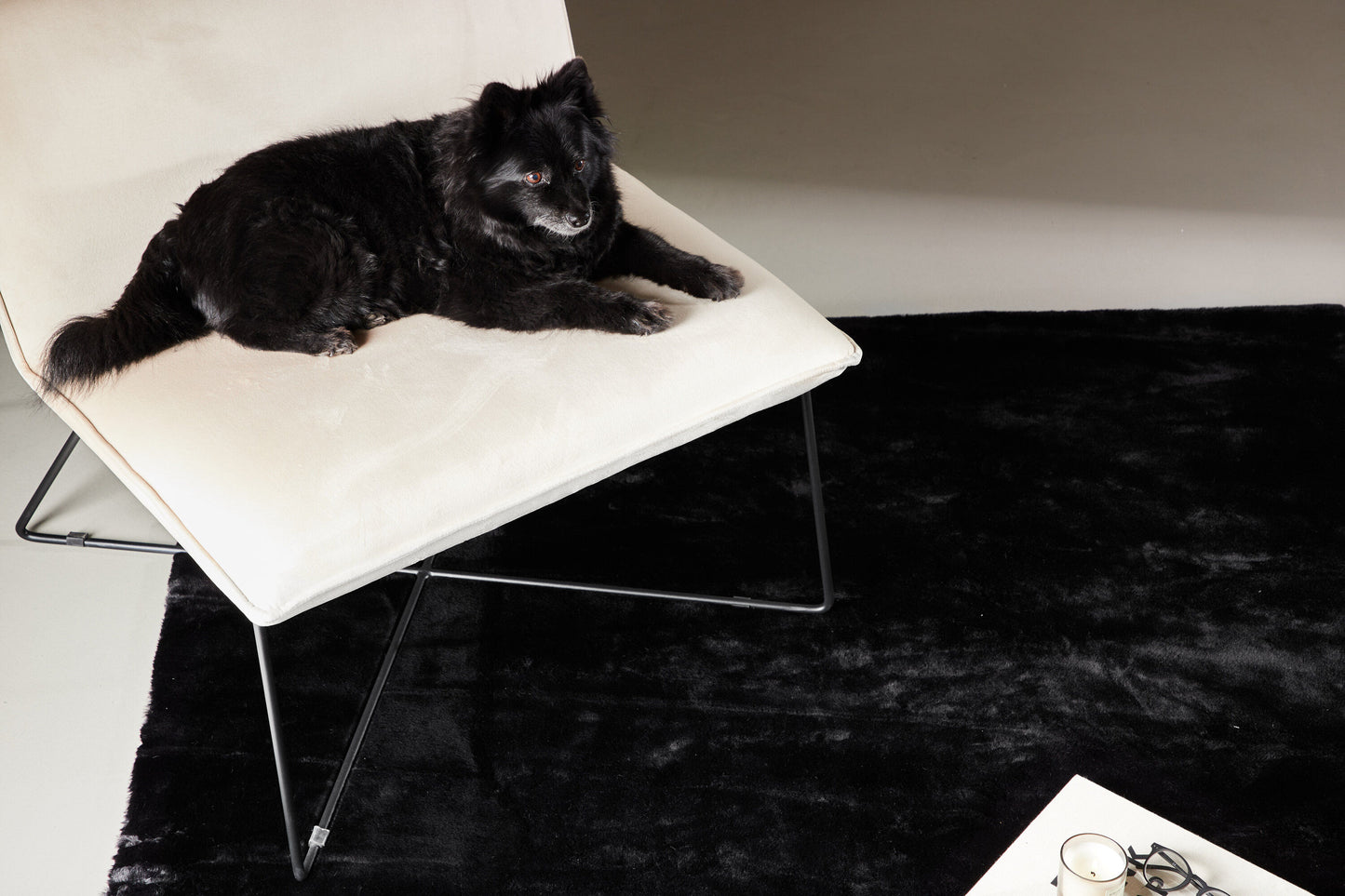 Nina Teppich, Schwarz, 230x160cm