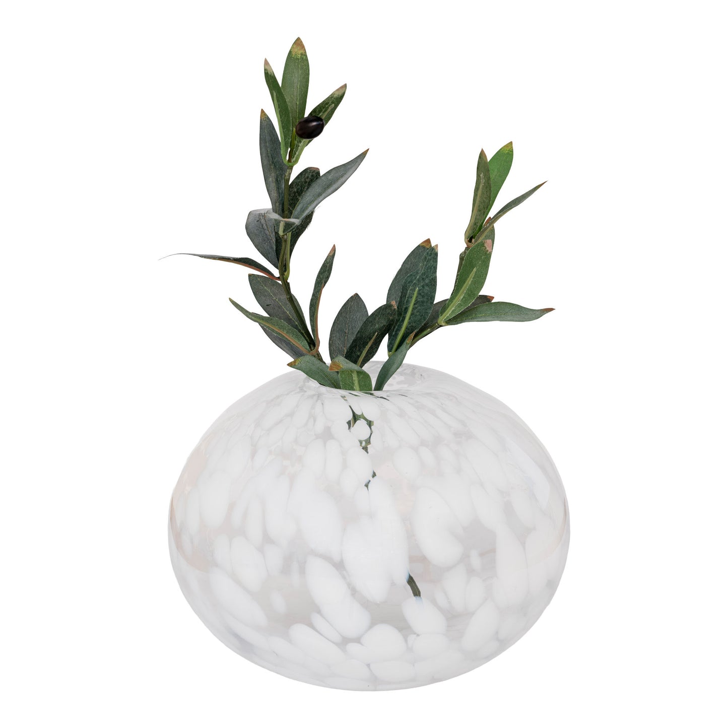 Sandra Vase, Glas